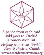 orchid conservation international