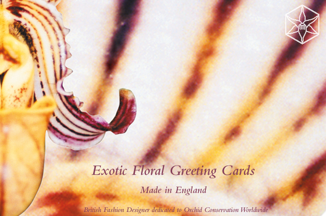 exotic floral greeting cards