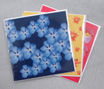 exotic_floral_designer_greeting_cards