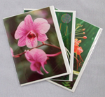 exotic_floral_greeting_cards